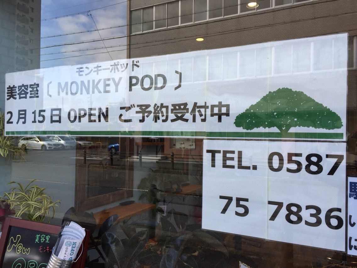 MONKEY POD【モンキー ポッド】