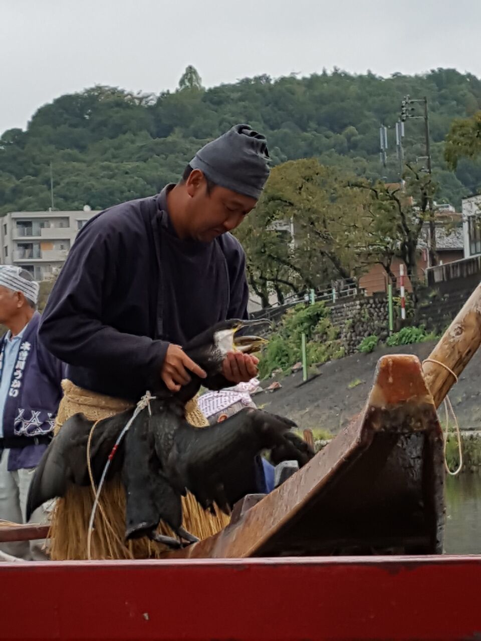 鵜匠の見事な手さばきに鮎を吐き出す鵜　木曽川うかいは１３００年の伝統漁法を今に伝える　撮影・たかのぶ