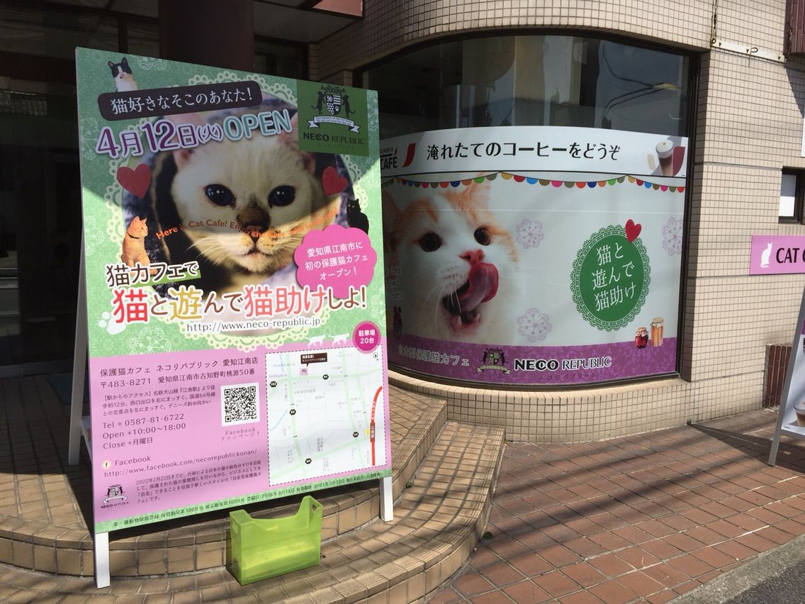 保護猫カフェ「ネコリパブリック」江南市店